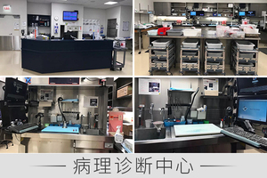 病理诊断中心
