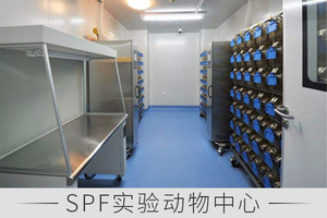 SPF实验动物中心